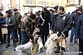 VBS_4108 - Quattordicesimo Raduno Nazionale dei Tabui 2024